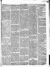 Herald Cymraeg Friday 02 February 1872 Page 5