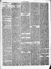 Herald Cymraeg Friday 09 February 1872 Page 3