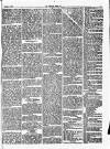 Herald Cymraeg Friday 01 March 1872 Page 5