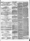 Herald Cymraeg Friday 15 March 1872 Page 3