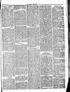Herald Cymraeg Friday 28 June 1872 Page 7