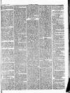 Herald Cymraeg Friday 12 July 1872 Page 5