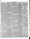 Herald Cymraeg Friday 08 November 1872 Page 5