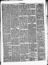 Herald Cymraeg Friday 02 May 1873 Page 5