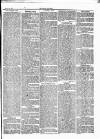 Herald Cymraeg Friday 24 October 1873 Page 7