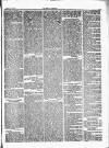 Herald Cymraeg Friday 21 November 1873 Page 5