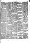 Herald Cymraeg Friday 13 February 1874 Page 5