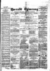Herald Cymraeg Friday 06 March 1874 Page 1