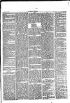 Herald Cymraeg Friday 06 March 1874 Page 5