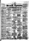 Herald Cymraeg Friday 20 March 1874 Page 1