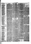 Herald Cymraeg Friday 20 March 1874 Page 7