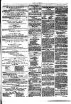 Herald Cymraeg Friday 08 May 1874 Page 3