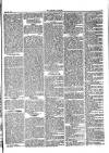 Herald Cymraeg Friday 15 May 1874 Page 5