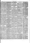 Herald Cymraeg Friday 14 August 1874 Page 5