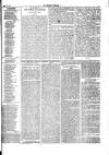 Herald Cymraeg Friday 25 September 1874 Page 7