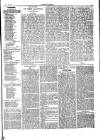 Herald Cymraeg Friday 06 November 1874 Page 7