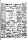 Herald Cymraeg Friday 11 December 1874 Page 1