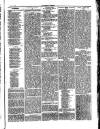 Herald Cymraeg Friday 08 January 1875 Page 7