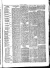 Herald Cymraeg Friday 22 January 1875 Page 7