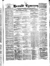 Herald Cymraeg Friday 29 January 1875 Page 1