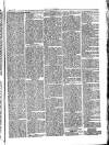 Herald Cymraeg Friday 05 February 1875 Page 5