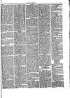 Herald Cymraeg Friday 12 February 1875 Page 5