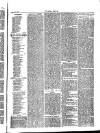 Herald Cymraeg Friday 19 February 1875 Page 7