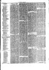 Herald Cymraeg Friday 26 February 1875 Page 7