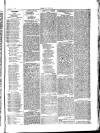 Herald Cymraeg Friday 05 March 1875 Page 7