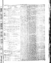 Herald Cymraeg Friday 19 March 1875 Page 3