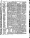Herald Cymraeg Thursday 25 March 1875 Page 7