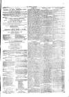 Herald Cymraeg Friday 30 April 1875 Page 3