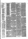 Herald Cymraeg Friday 14 May 1875 Page 7