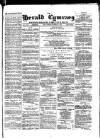 Herald Cymraeg Friday 04 June 1875 Page 1