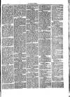 Herald Cymraeg Friday 18 June 1875 Page 5