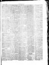 Herald Cymraeg Friday 30 July 1875 Page 5