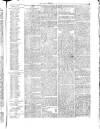 Herald Cymraeg Friday 27 August 1875 Page 7