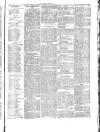 Herald Cymraeg Friday 10 September 1875 Page 7