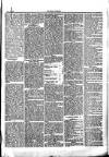 Herald Cymraeg Friday 29 October 1875 Page 5