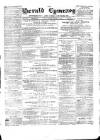 Herald Cymraeg Friday 07 January 1876 Page 1
