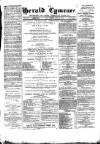 Herald Cymraeg Friday 18 August 1876 Page 1