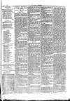 Herald Cymraeg Friday 18 August 1876 Page 7