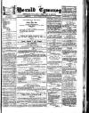 Herald Cymraeg Friday 17 November 1876 Page 1