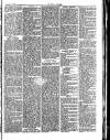 Herald Cymraeg Friday 17 November 1876 Page 5