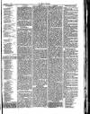 Herald Cymraeg Friday 17 November 1876 Page 7