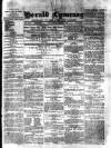 Herald Cymraeg Friday 05 January 1877 Page 1