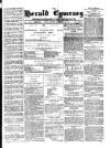 Herald Cymraeg Friday 16 February 1877 Page 1