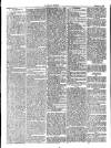 Herald Cymraeg Friday 16 February 1877 Page 8