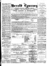 Herald Cymraeg Friday 23 March 1877 Page 1