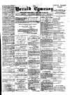 Herald Cymraeg Friday 06 July 1877 Page 1